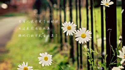 花儿开了