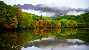 秋林高山云雾湖畔