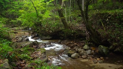 自然山涧溪流