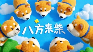 八方来柴
