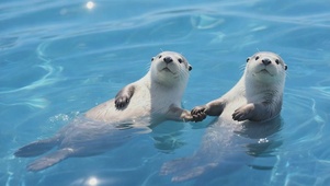 瞅着我们啦~快跑