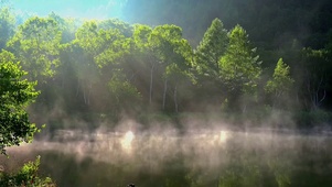 山间阳光明媚