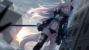 双刃武器猫娘