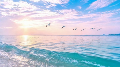 海畔落霞