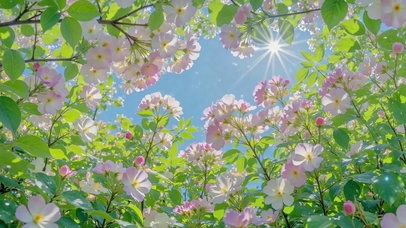 蓝天樱花清新治愈风景