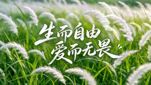 生而自由爱而无畏清新草地