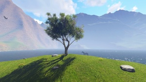 河边美景