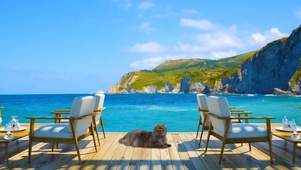 海滩放松度假