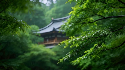 雨隐山林