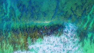 治愈海浪 4K
