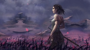 风之武士