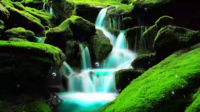 护眼治愈青苔溪流