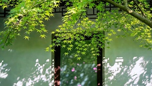 庭院揽清风