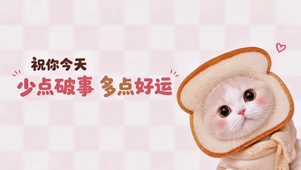 好运吐司猫咪