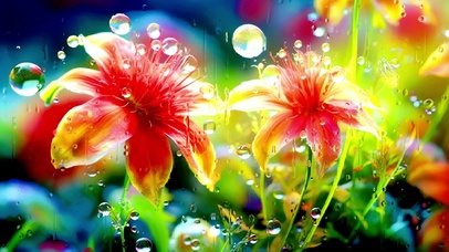 窗外雨中盛开的鲜花