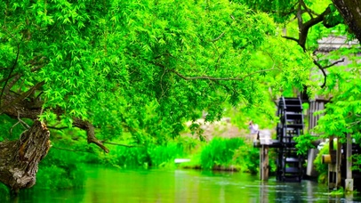 4K水车流水绿树成荫