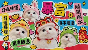 顺风顺水