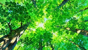 树荫下 情景 治愈 护眼