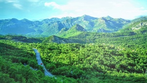 僻静山谷，飞鸟翱翔