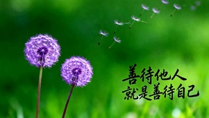护眼小清新