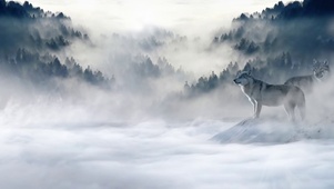 森林狼族
