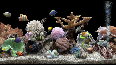 梦幻水族箱护眼带鱼屛