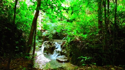 唯美林间小溪4K