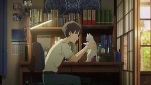 猫猫与少年
