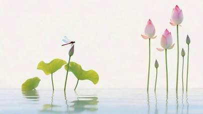 护眼小清新