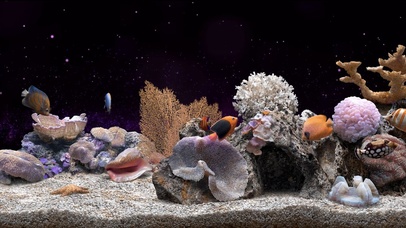 星空中的水族馆