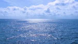 4K大海