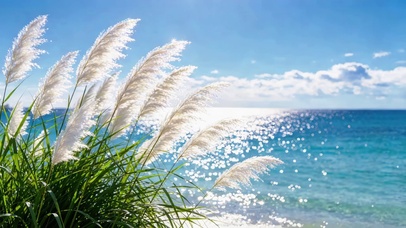 风之絮·海之镜