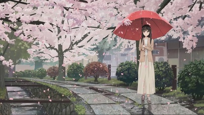 雨伴樱花