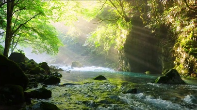 护眼阳光清凉溪流