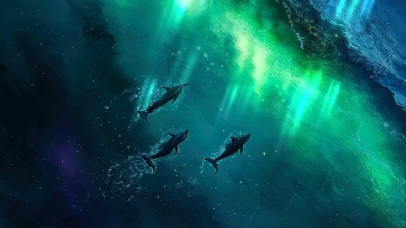 梦幻极光夜空海洋海豚