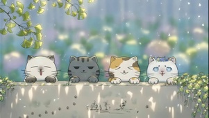 墙头四只花猫