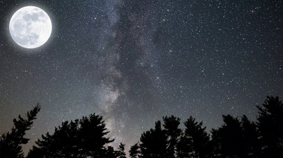 深夜林间，星空满月