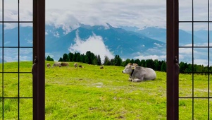 4K阿尔卑斯山自然风景