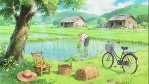 插秧