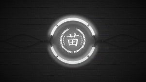 百家姓苗