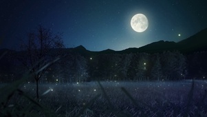 月夜和萤火虫