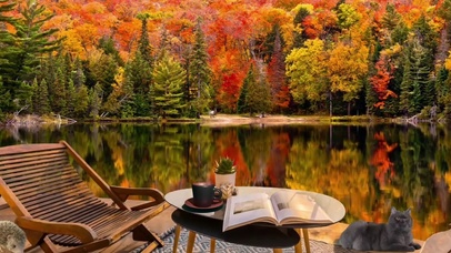 柔和的秋天早晨