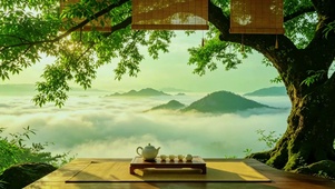 云海之上，煮茶听风I禅意治愈