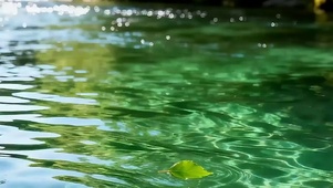 湖面绿景带鱼屏