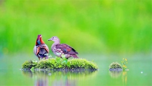 热恋的样子 4K