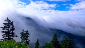 清晨山间云雾