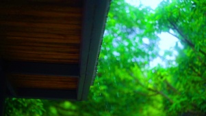 下雨天的屋檐