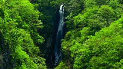 治愈系绿色瀑布4K