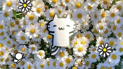 猫角面包