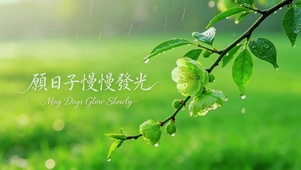 愿日子慢慢发光
